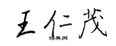 王正良王仁茂行书个性签名怎么写