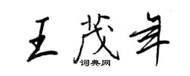 王正良王茂年行书个性签名怎么写