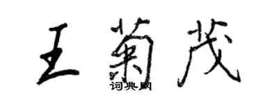 王正良王菊茂行书个性签名怎么写