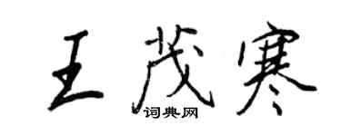 王正良王茂寒行书个性签名怎么写