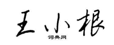 王正良王小根行书个性签名怎么写