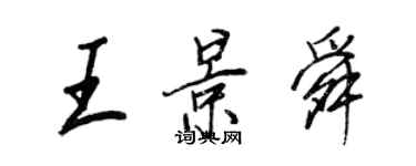 王正良王景舜行书个性签名怎么写