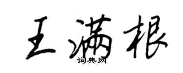 王正良王满根行书个性签名怎么写