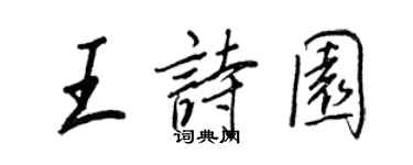 王正良王诗园行书个性签名怎么写