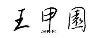 王正良王甲园行书个性签名怎么写