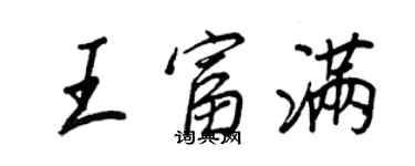 王正良王富满行书个性签名怎么写