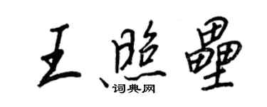 王正良王照垒行书个性签名怎么写