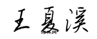 王正良王夏溪行书个性签名怎么写