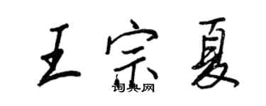 王正良王宗夏行书个性签名怎么写