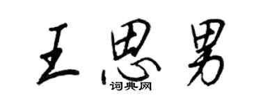 王正良王思男行书个性签名怎么写