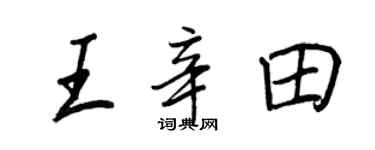 王正良王辛田行书个性签名怎么写