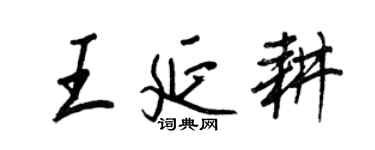 王正良王延耕行书个性签名怎么写