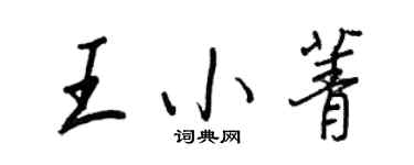 王正良王小菁行书个性签名怎么写