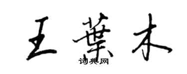 王正良王叶木行书个性签名怎么写