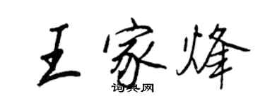 王正良王家烽行书个性签名怎么写