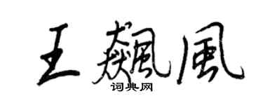 王正良王飚风行书个性签名怎么写
