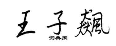 王正良王子飚行书个性签名怎么写
