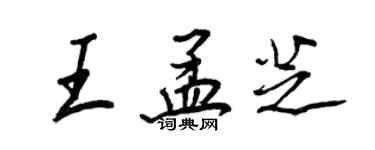 王正良王孟芝行书个性签名怎么写