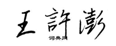 王正良王许澎行书个性签名怎么写
