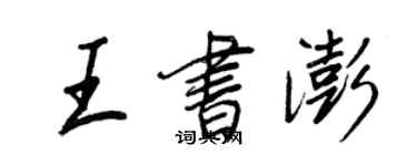 王正良王书澎行书个性签名怎么写