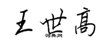 王正良王世高行书个性签名怎么写
