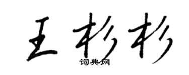 王正良王杉杉行书个性签名怎么写