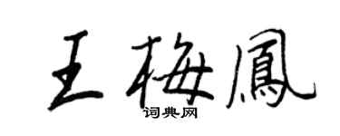 王正良王梅凤行书个性签名怎么写