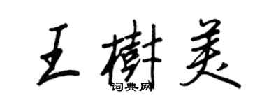 王正良王树美行书个性签名怎么写