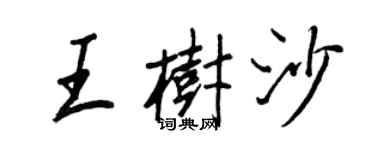 王正良王树沙行书个性签名怎么写