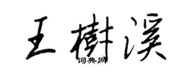 王正良王树溪行书个性签名怎么写