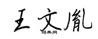 王正良王文胤行书个性签名怎么写
