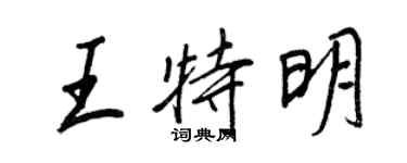 王正良王特明行书个性签名怎么写