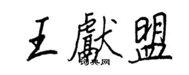 王正良王献盟行书个性签名怎么写