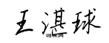 王正良王湛球行书个性签名怎么写