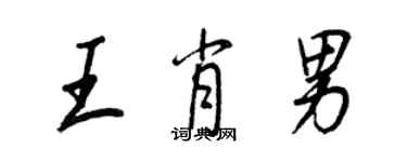 王正良王肖男行书个性签名怎么写