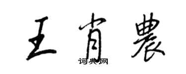王正良王肖农行书个性签名怎么写