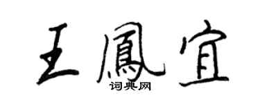 王正良王凤宜行书个性签名怎么写