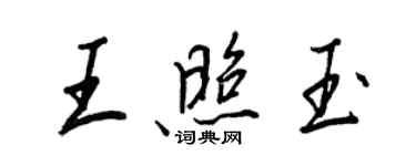 王正良王照玉行书个性签名怎么写