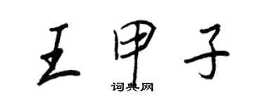 王正良王甲子行书个性签名怎么写
