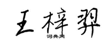 王正良王梓羿行书个性签名怎么写