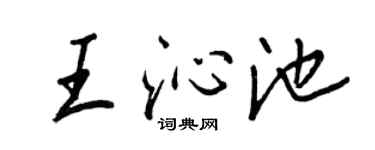 王正良王沁池行书个性签名怎么写