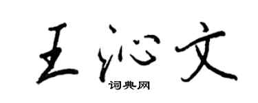 王正良王沁文行书个性签名怎么写