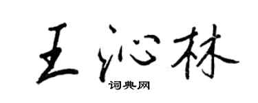 王正良王沁林行书个性签名怎么写