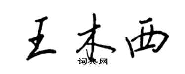 王正良王木西行书个性签名怎么写