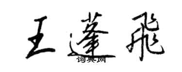 王正良王蓬飞行书个性签名怎么写