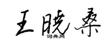 王正良王晓桑行书个性签名怎么写