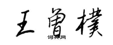 王正良王曾朴行书个性签名怎么写