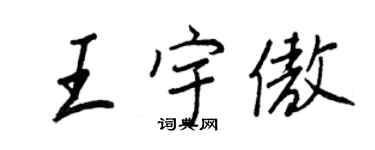 王正良王宇傲行书个性签名怎么写