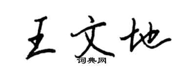 王正良王文地行书个性签名怎么写