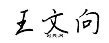 王正良王文向行书个性签名怎么写
